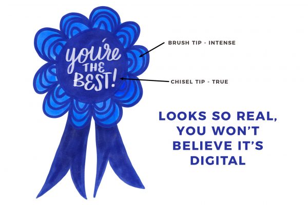 Social Media Content Photography - Image 8